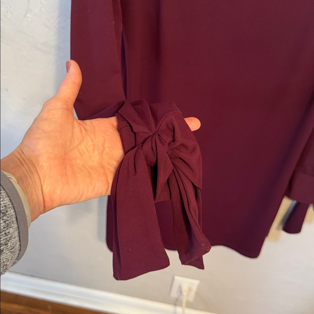Susana Monaco Deep Burgundy Long Sleeve Dress with ties at cuff large - Picture 6 of 13